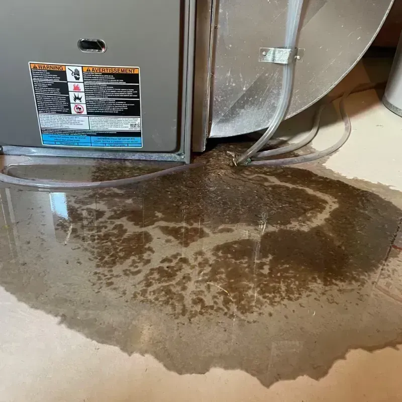 Appliance Leak Cleanup in Reagan County, TX